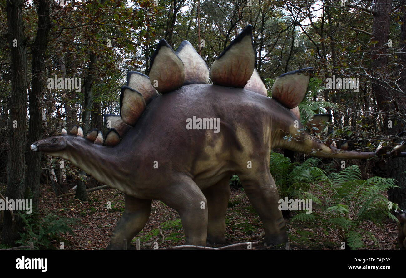Model of a Stegosaurus, full-size and lifelike dino statue at  Dinopark Amersfoort Zoo, The Netherlands, from the Jurassic era Stock Photo