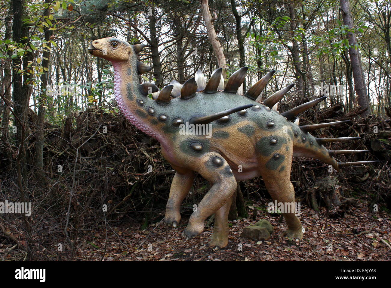 Model of a Kentrosaurus from the Jurassic era. Full-size and lifelike dino statue at  Dinopark Amersfoort Zoo, The Netherlands. Stock Photo