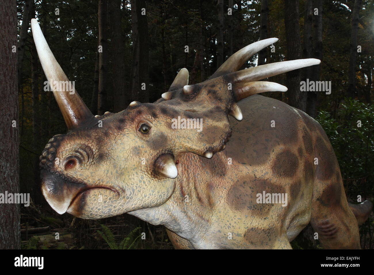 Styracosaurus (spiked lizard) dinosaur, Cretaceous era Lifelike dino statues at  Dinopark Amersfoort Zoo, Netherlands Stock Photo