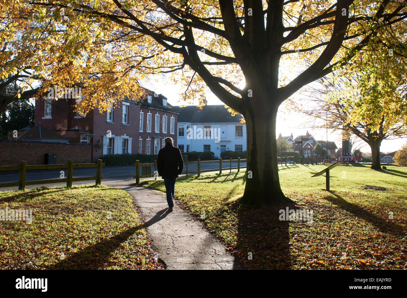 Abbey Fields in autumn, Kenilworth, Warwickshire, England, UK Stock