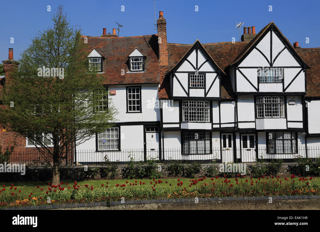Riverside houses from Westgate Gardens River Walk along Great Stour