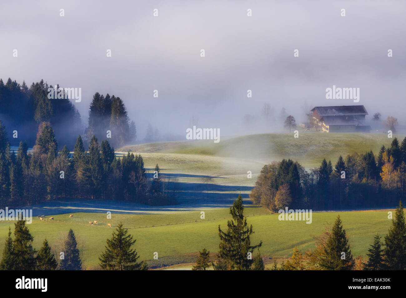 Morning sun and fog hi-res stock photography and images - Alamy