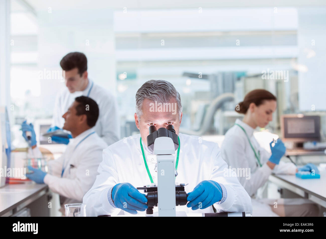 Scientist examining sample under microscope in laboratory Stock Photo