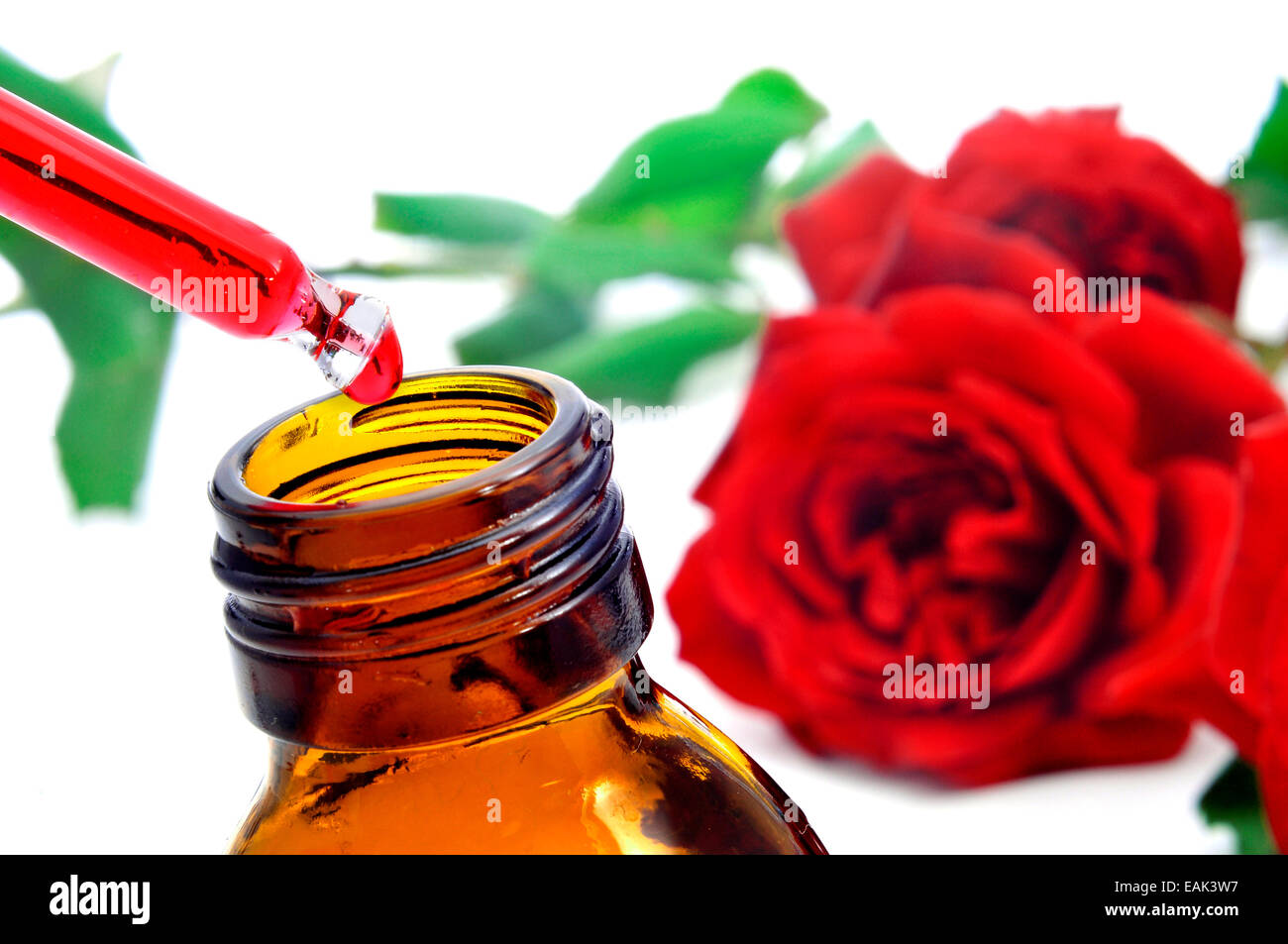 closeup of a dropper bottle with rose essence with red roses on the background Stock Photo