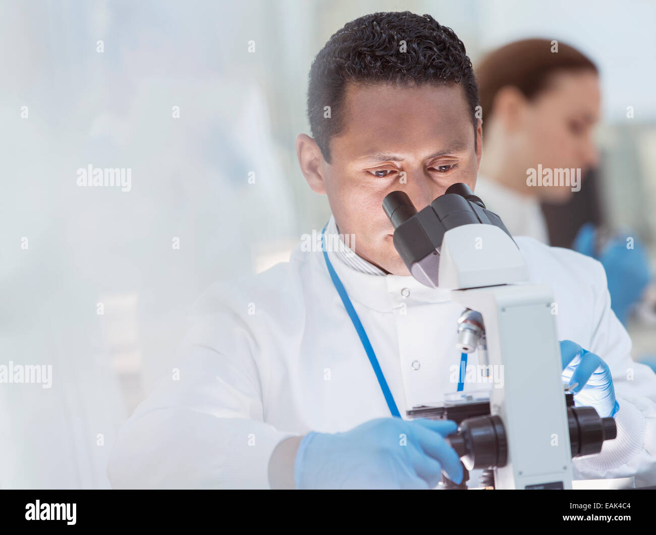 Scientist examining sample under microscope in laboratory Stock Photo