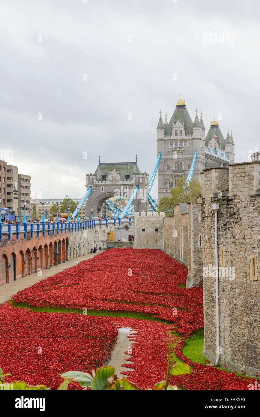 LONDON, UK - NOVEMBER 08: 'Blood Swept Lands and Seas of Red' installation at Tower of London. November 08, 2014 in London. The Stock Photo