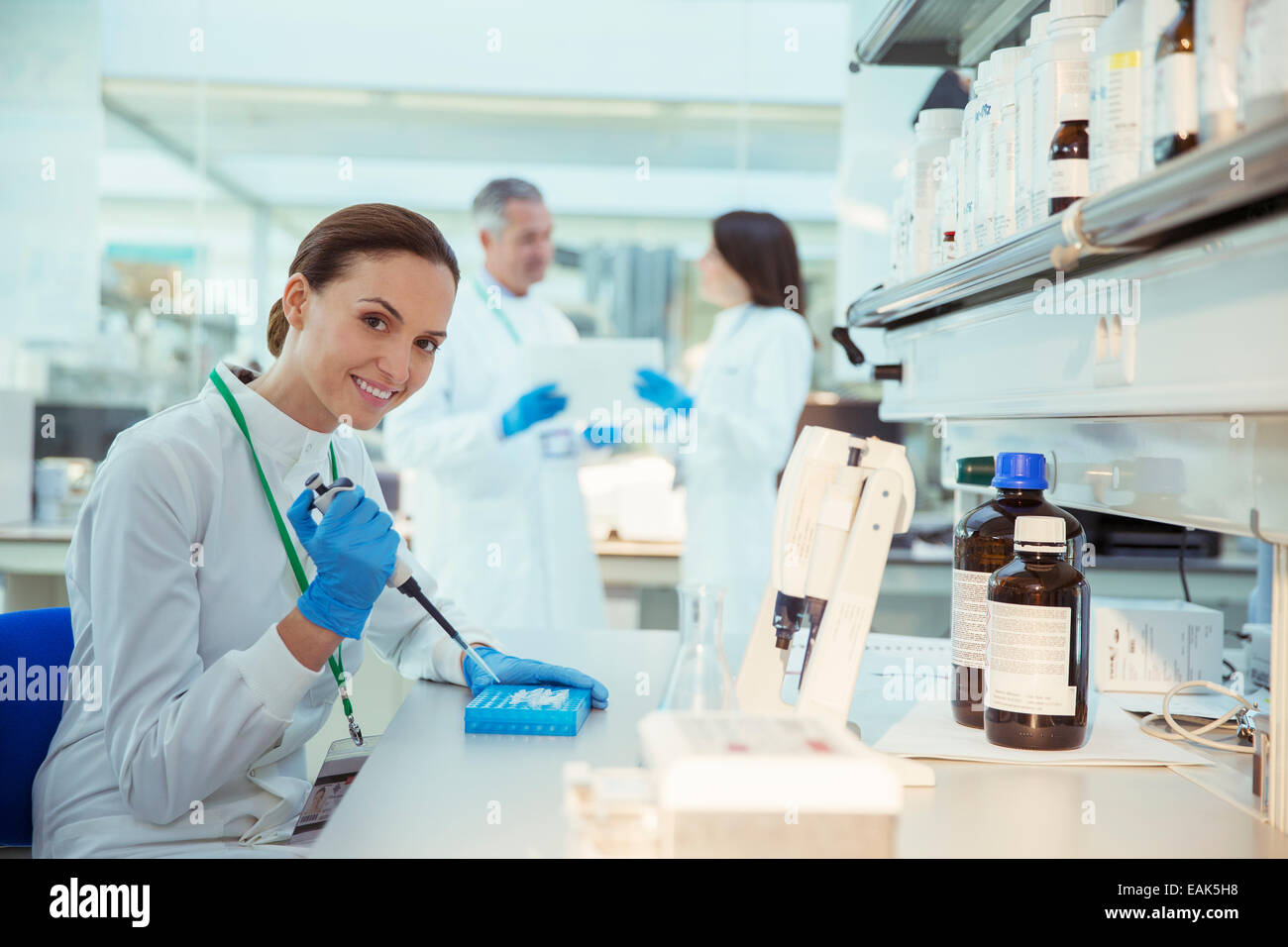 Scientist pipetting samples into tray in laboratory Stock Photo