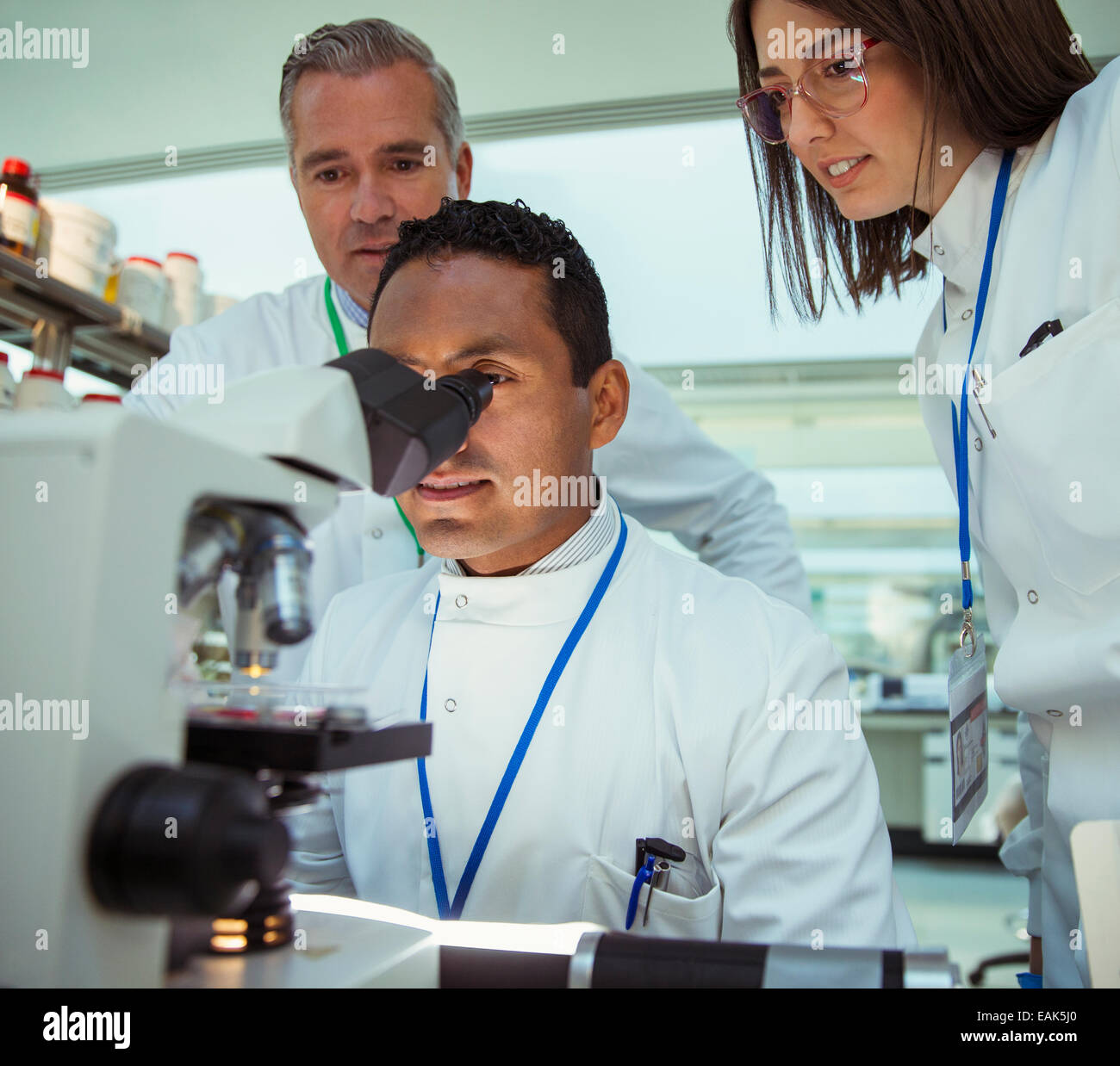 Scientists examining sample under microscope in laboratory Stock Photo