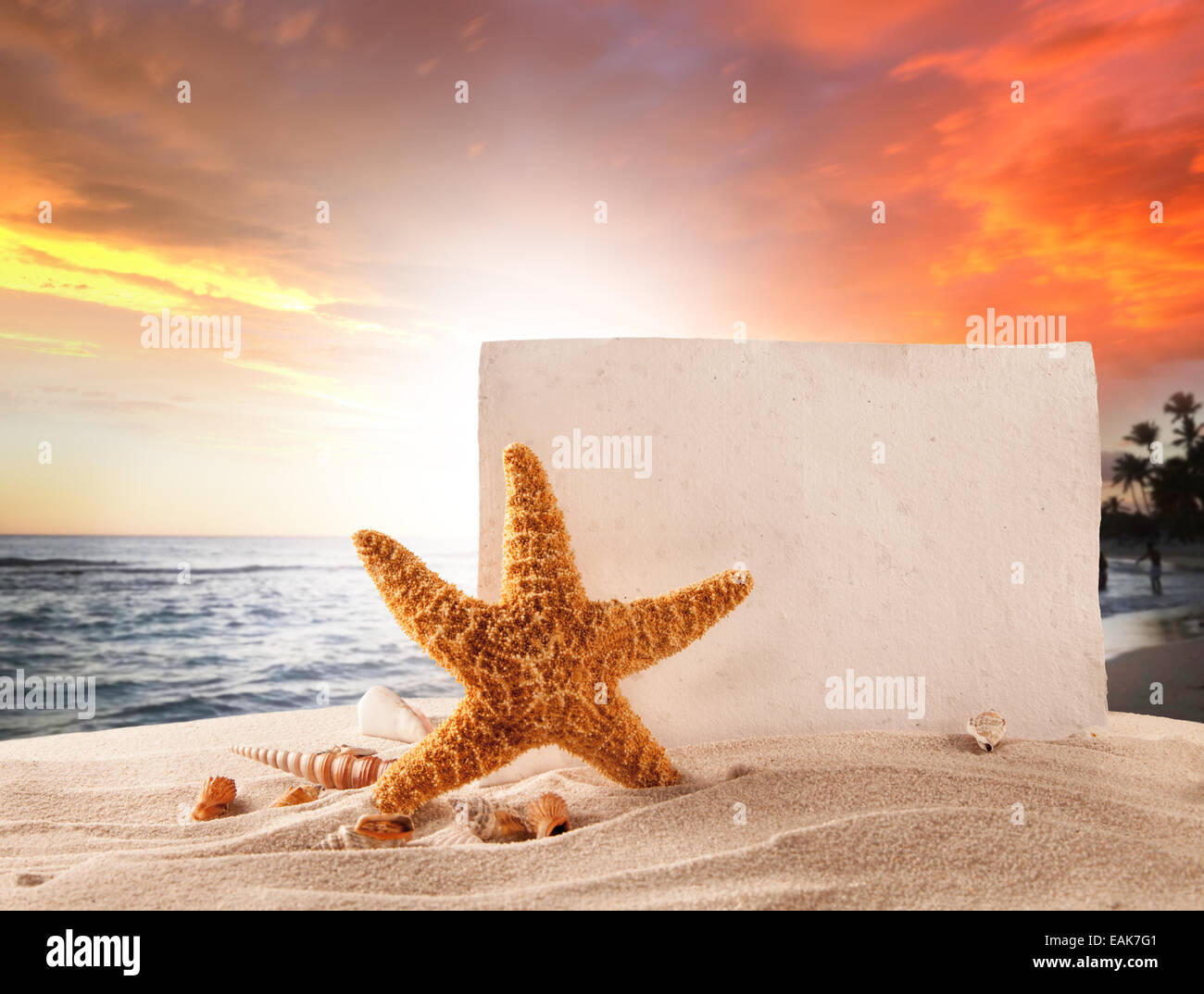 Concept of summer beach with starfish, shells and empty paper on sand Stock Photo
