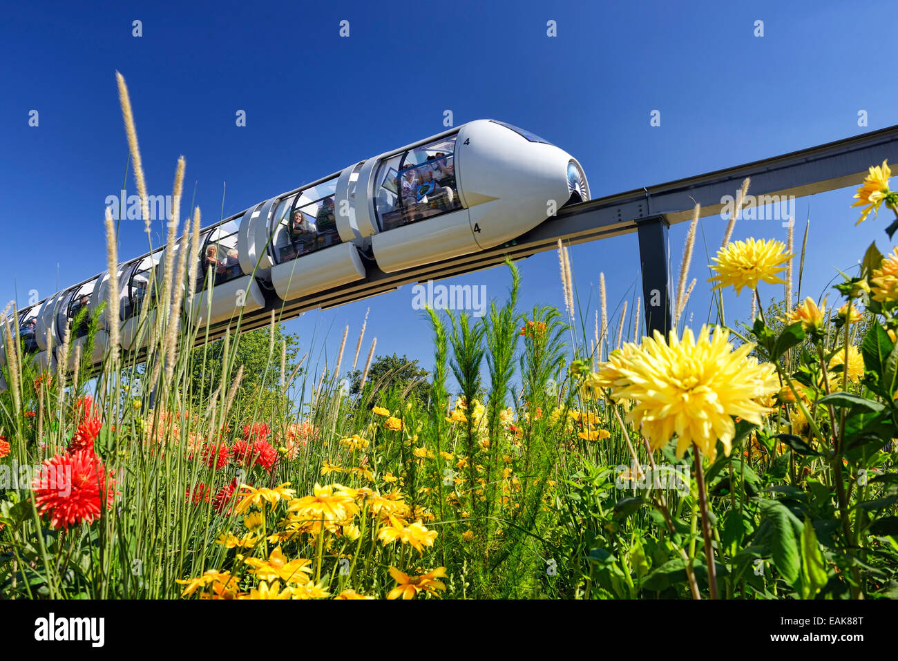 Monorail train at the site of the International Garden Show 2013, Wilhelmsburg, Hamburg, Hamburg, Germany Stock Photo