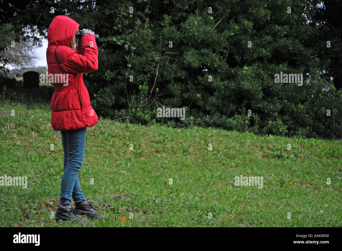 A 12 year old girl looking for birds through a pair of Binoculars Stock Photo