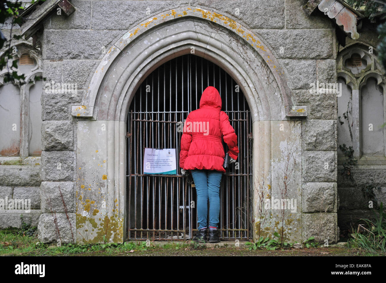 A child peers into a disused mortuary chapel in St Gluvias cemetery, Penryn, Cornwall Stock Photo
