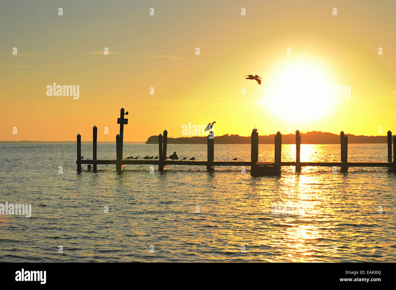 Longboat Key, Florida, USA. 17th November, 2014. Sunrise scenes across