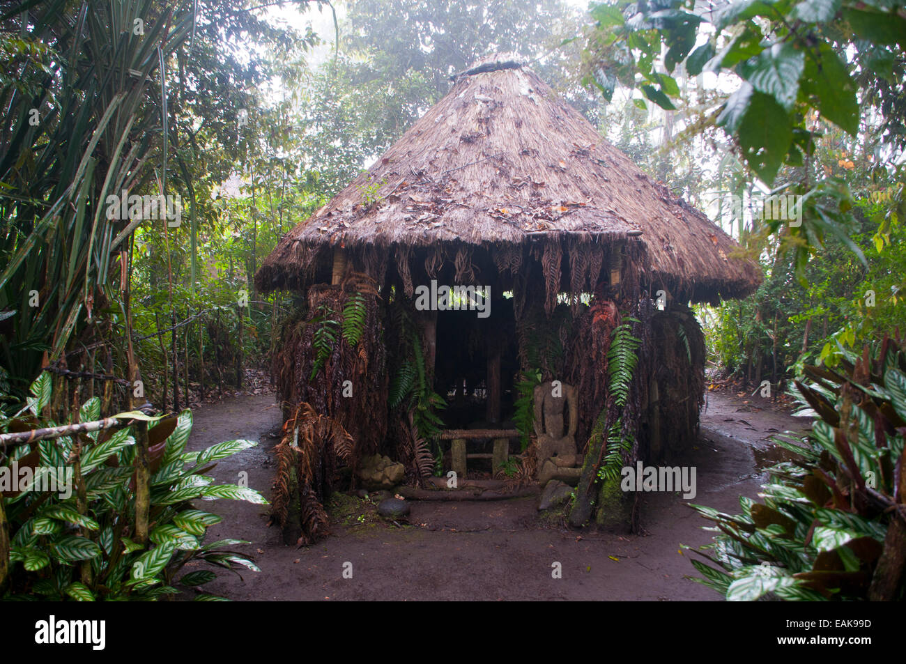 Hut in a tribal village, Highlands, Papua New Guinea Stock Photo