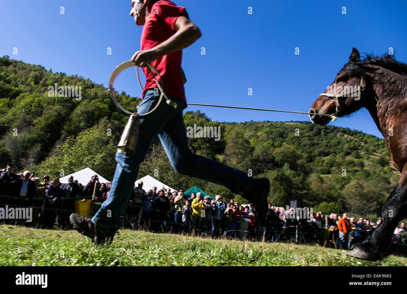 Horse exhibition held every 13th of october in Espinavell (Pyrenees) to bring the horses that have been grazing in the mountains Stock Photo