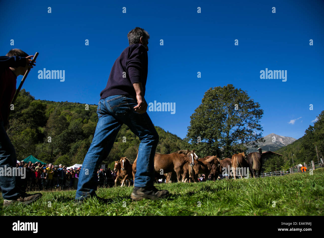 Horse exhibition held every 13th of october in Espinavell (Pyrenees) to bring the horses that have been grazing in the mountains Stock Photo