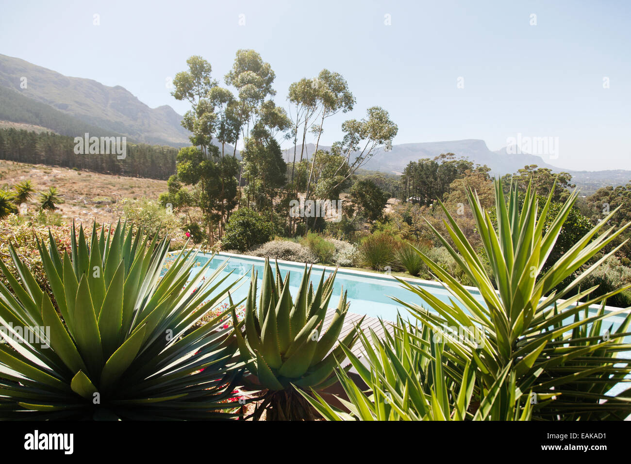 Swimming pool with aloe plants in foreground in hilly landscape Stock Photo