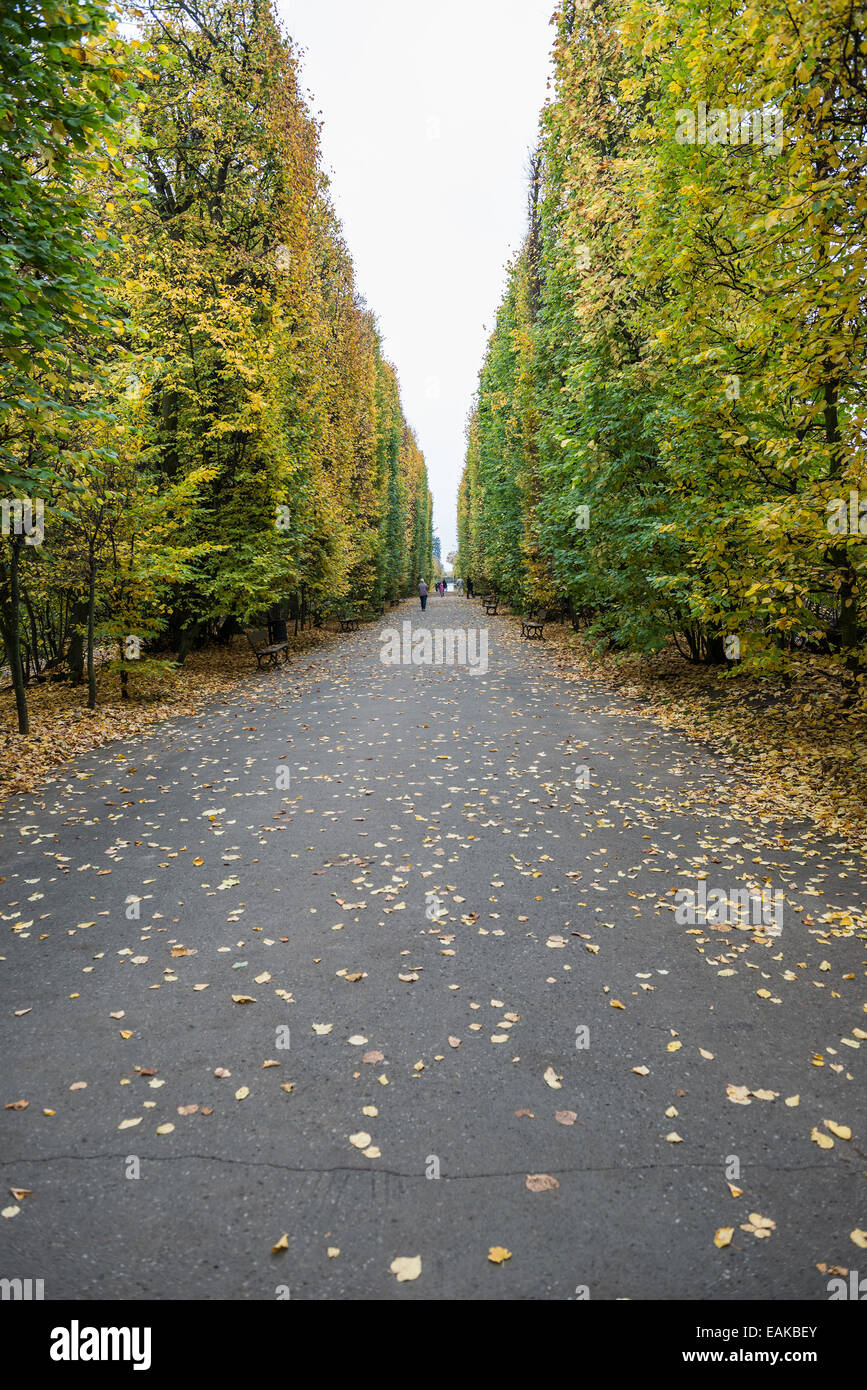 Oliwski Park in Gdansk, Poland Stock Photo