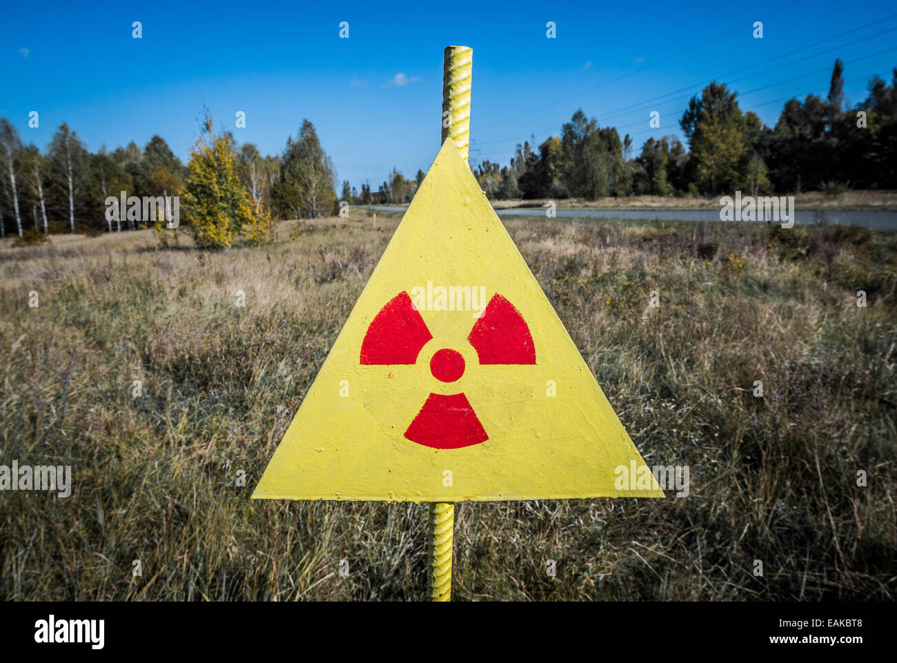 Radiation sign near Red Forest in Chernobyl Nuclear Power Plant Zone of Alienation on Ukraine