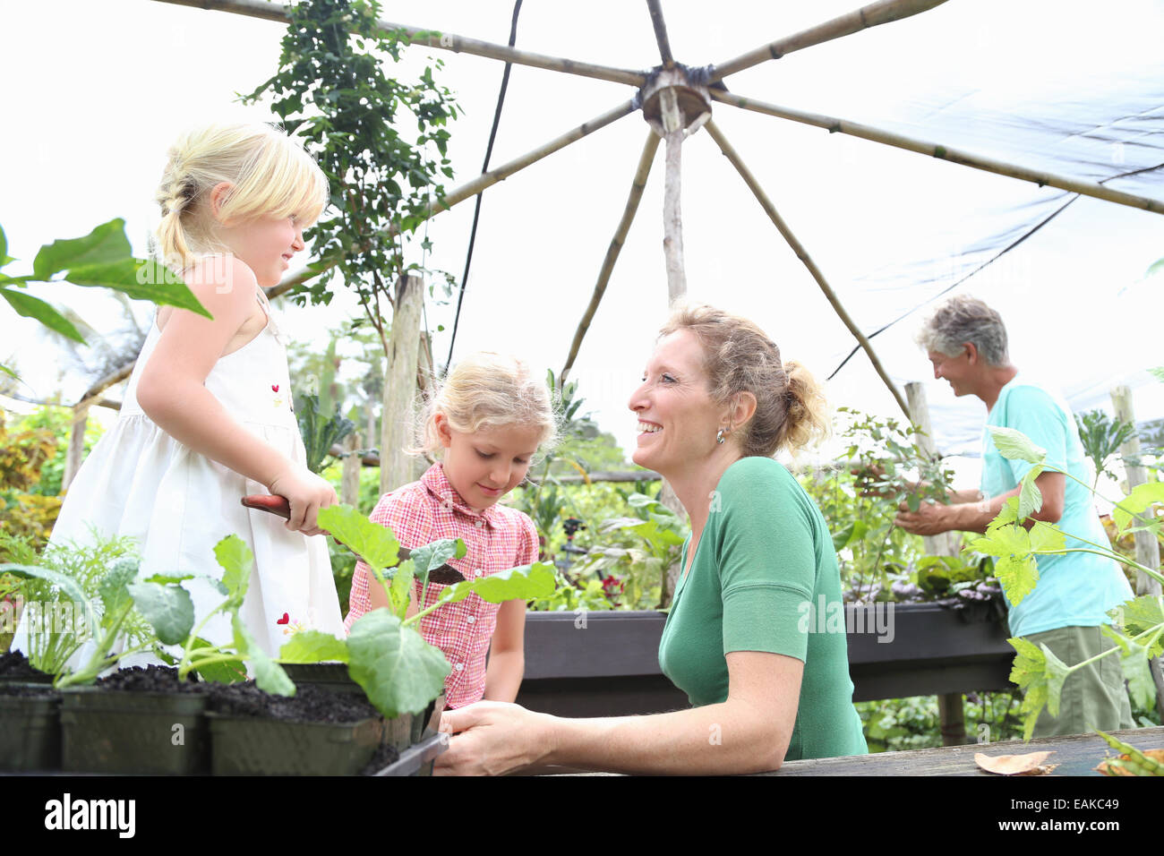 Two women working in greenhouse with girls Stock Photo