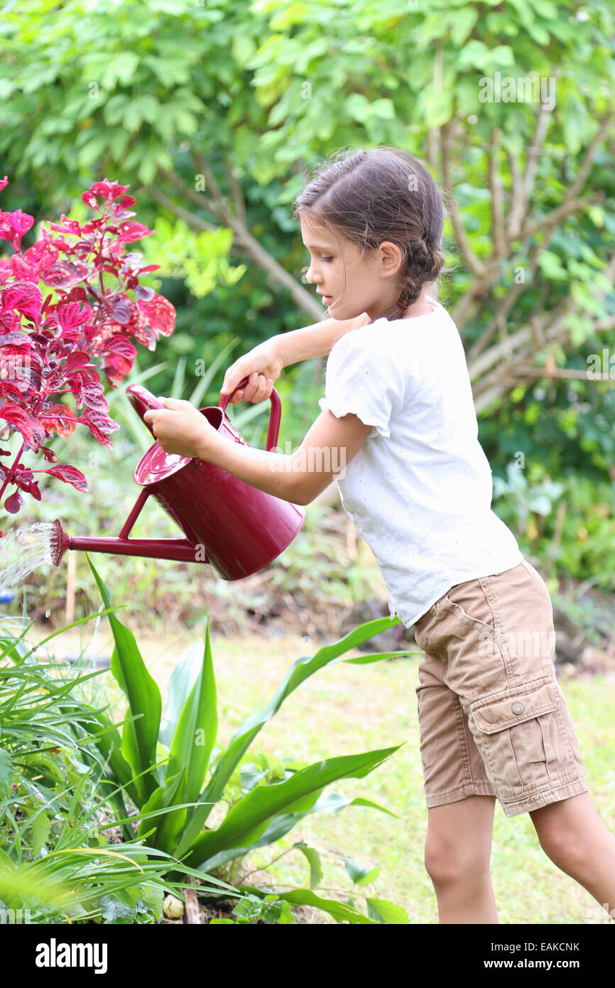 Girl watering plants in garden with red watering can Stock Photo Alamy