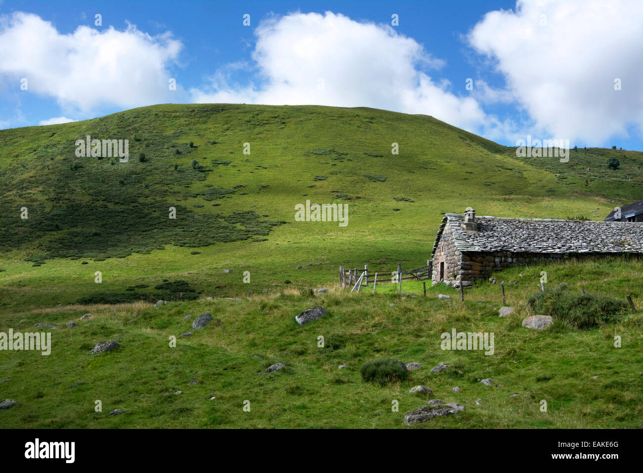 Bouc High Resolution Stock Photography And Images Alamy