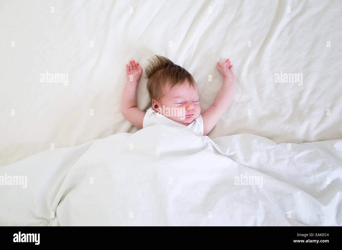 Small four week old newborn baby girl asleep in a big bed Stock Photo