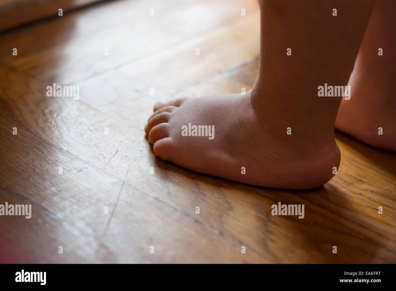 Baby walk feet hires stock photography and images Alamy