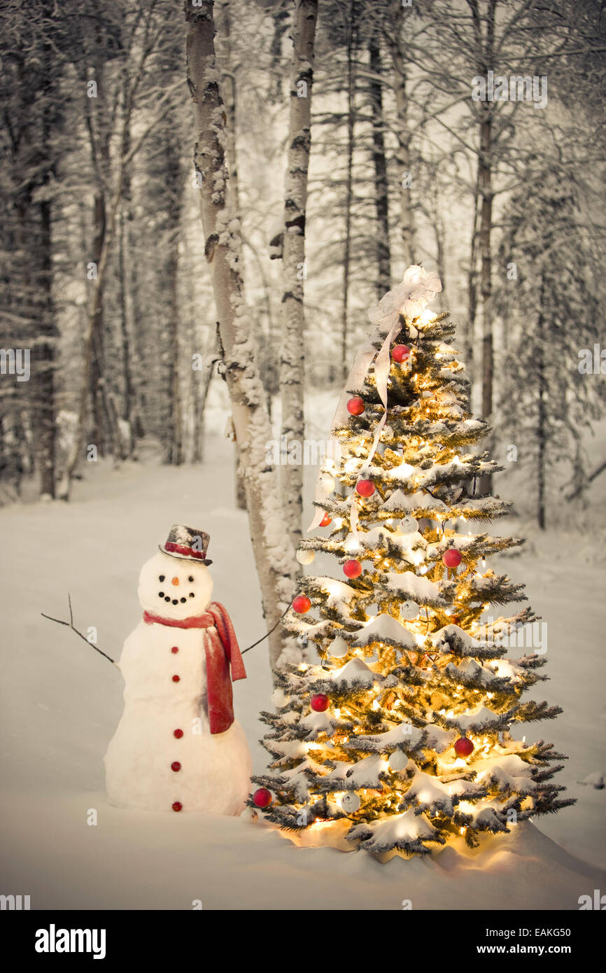Snowman With Red Scarf And Black Top Hat Standing Next To A Christmas ...