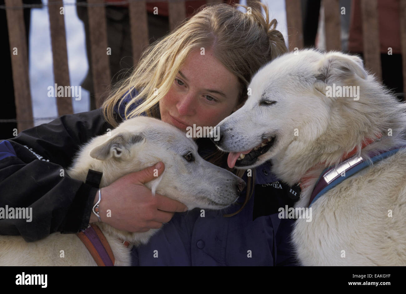 Young Girl Pets Sled Dogs At Anchorage Start Alaska Stock Photo - Alamy