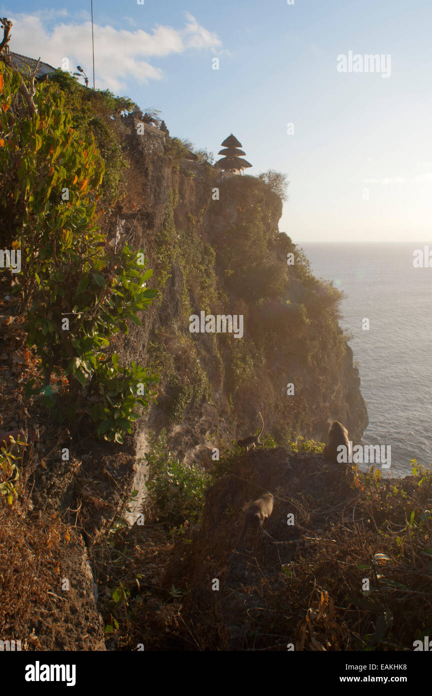 Cliffs next to the Ulu Watu temple Pura Luhur. Bali. Uluwatu Temple is ...