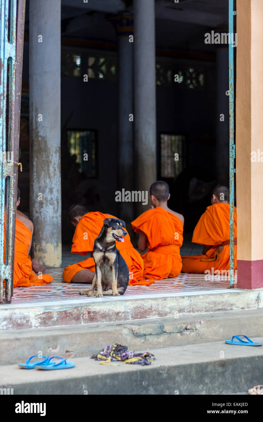 Vietnam’s Khmer Theravada Buddhist monks between the ages of 15 and 20 pray at a monastery in Tra Vinh, Vietnam. Stock Photo