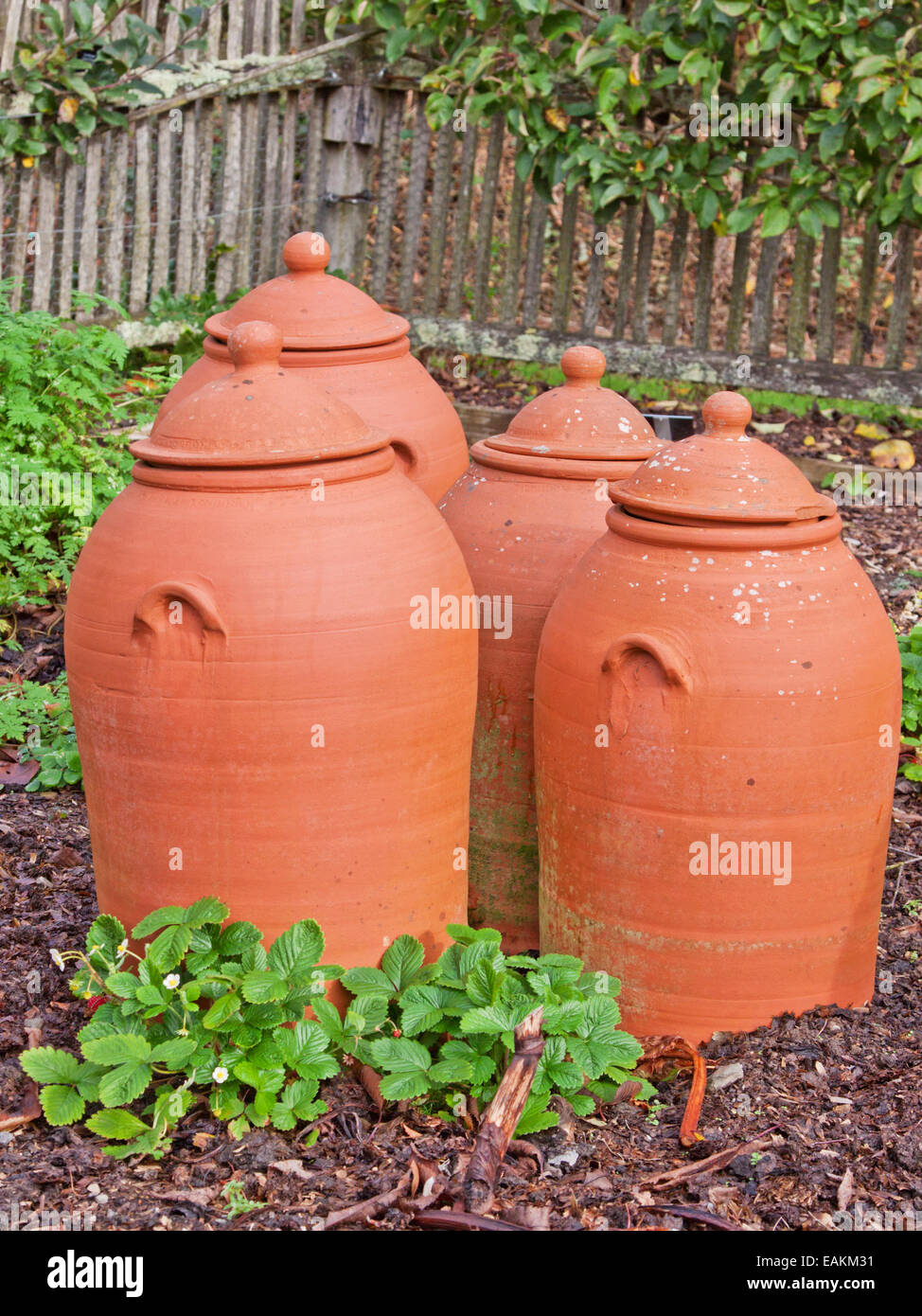 Stimulate plant growth hires stock photography and images Alamy