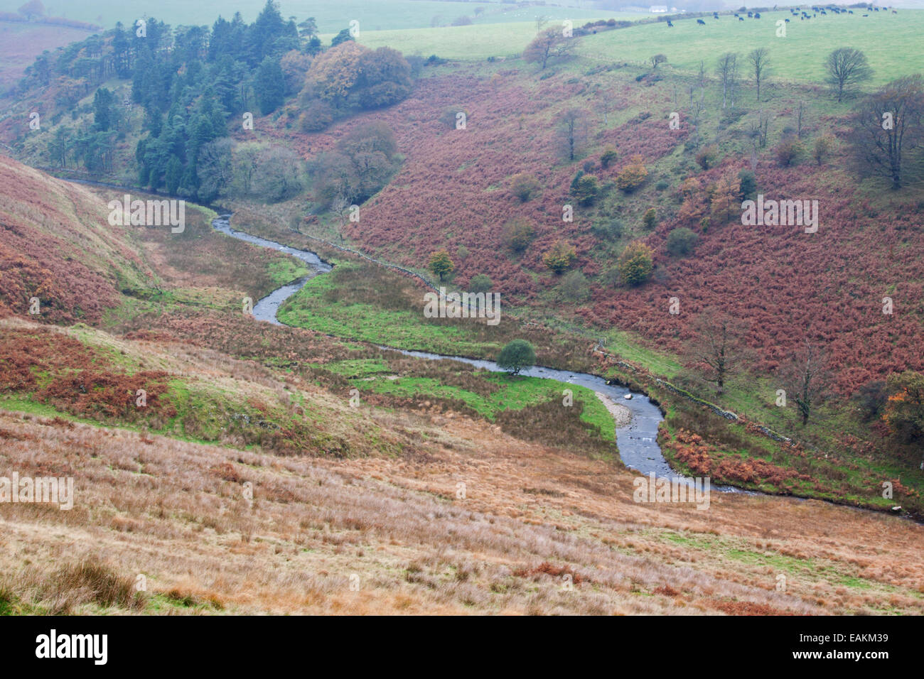 Moor landscape with river course hi-res stock photography and images ...