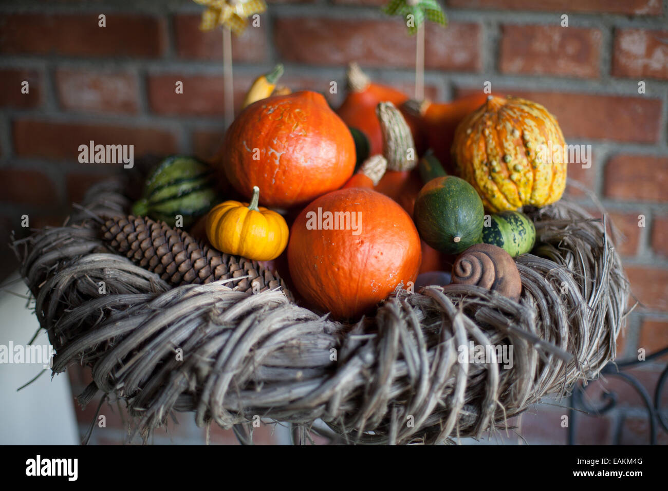 Freshly harvested pumpkins in a wooden nest Stock Photo