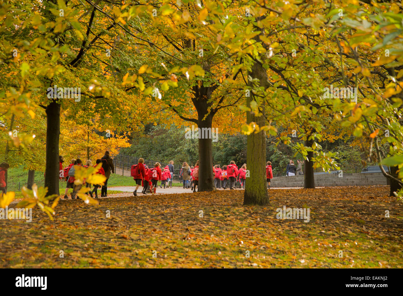 Autumn colours. School children walking through Greenwich Park, London. November 2014 Stock Photo