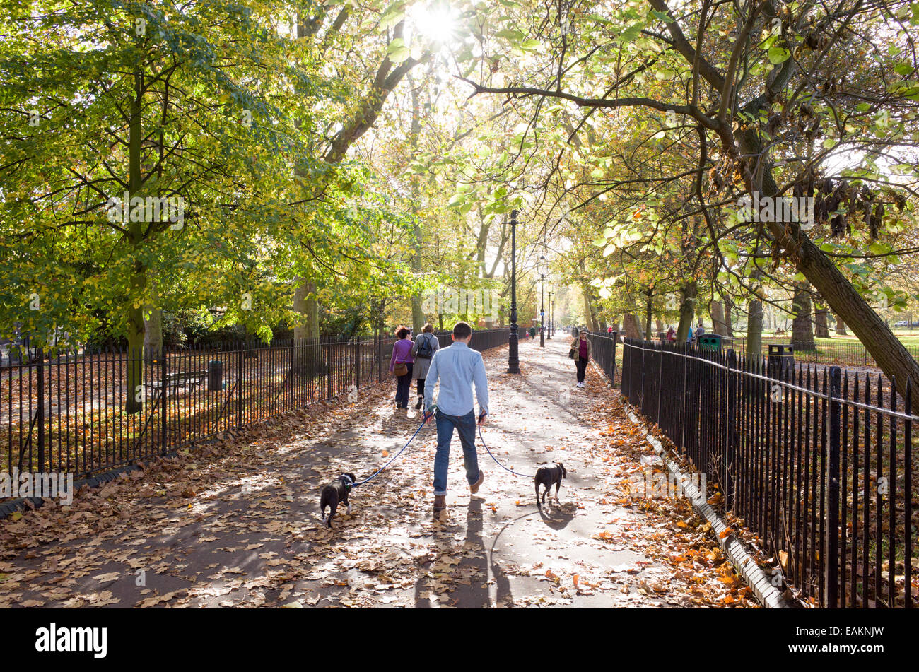 Walking dogs through Highbury Fields, Islington, London, UK Stock Photo