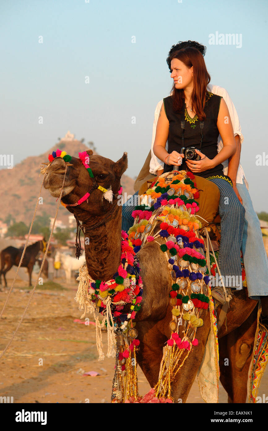 Pushkar Cattle Fair Camel Rajasthan India Festival Traditional Colorful  Tourists Foreigners Stock Photo - Alamy