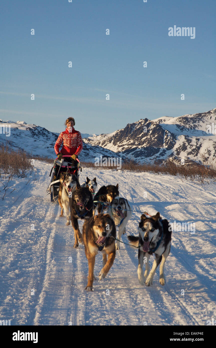 Zoya Denure Mushing Near The Denali Highway, Interior Alaska, Winter