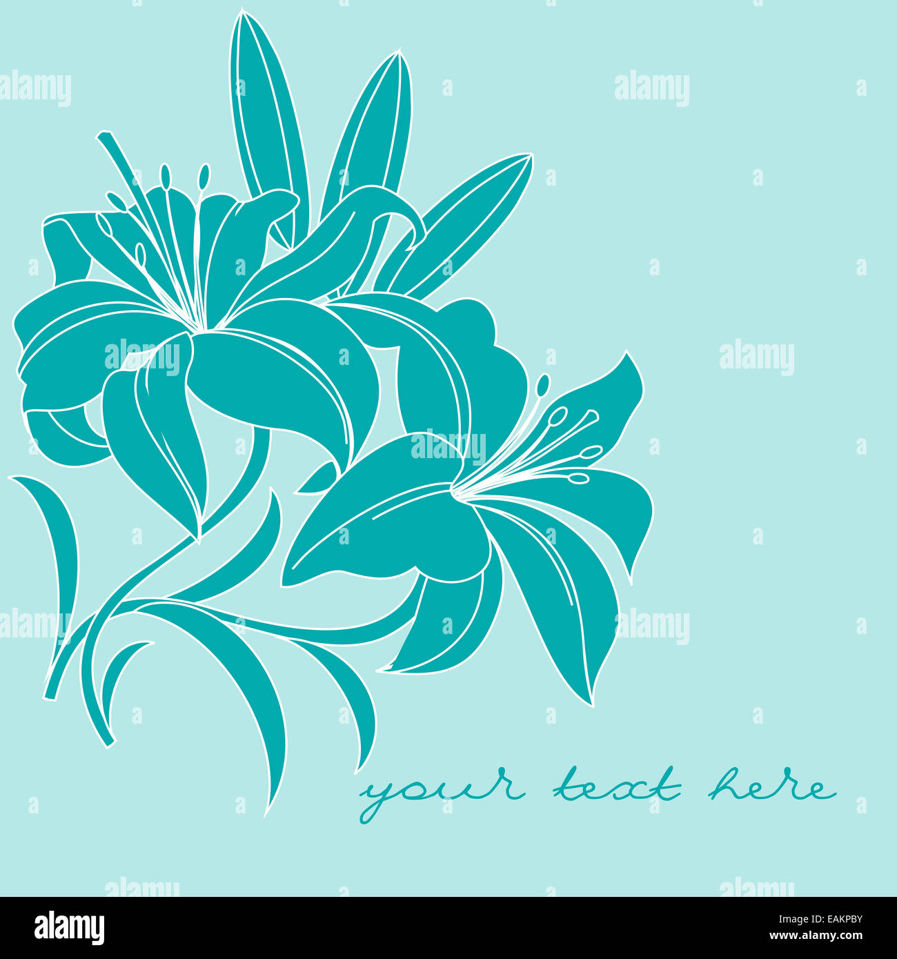 Decorative frame lilies hi-res stock photography and images - Alamy