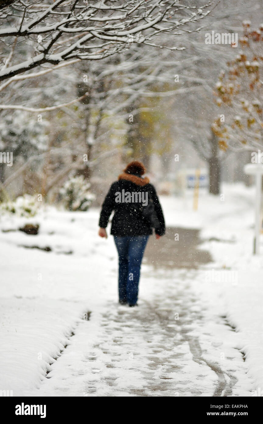 A woman in London, Ontario walks down a snowy winter street. Stock Photo