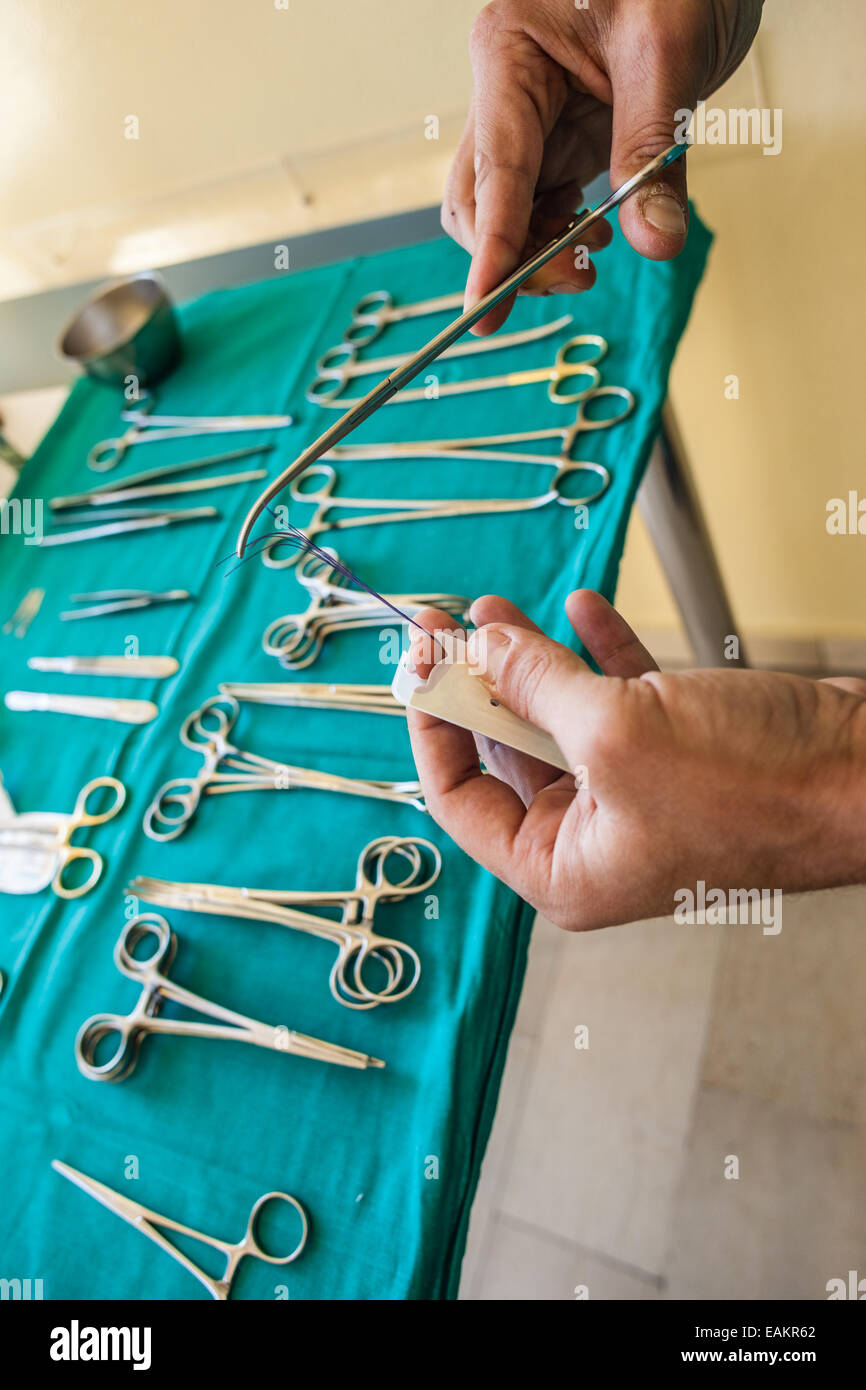 the hands of a surgeon preparing the thread for the stitches Stock Photo