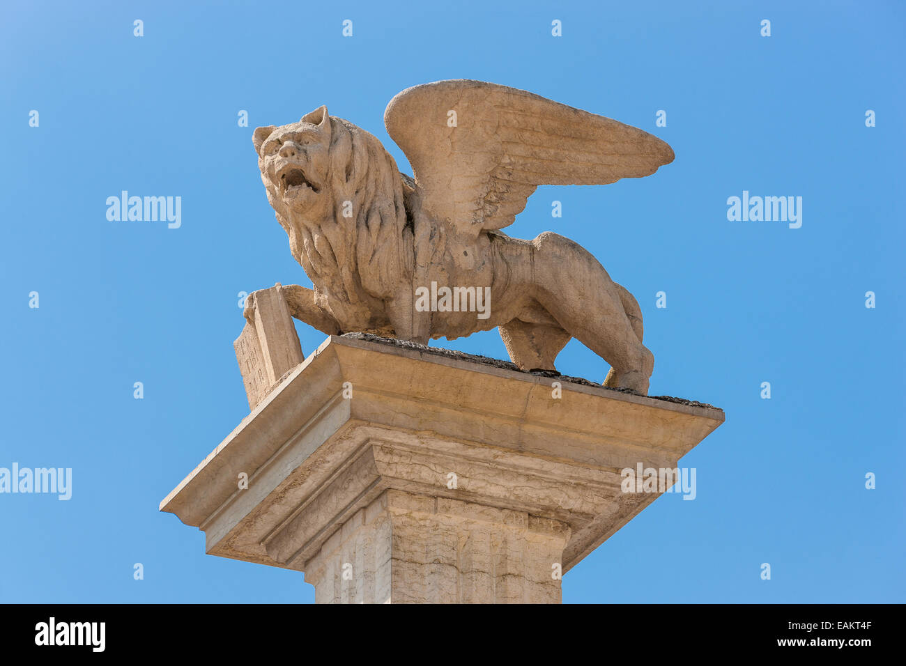 Feltre / Piazza Maggiore / Il Leone di San Marco / Maggiore Square / The Lion of St. Mark Stock Photo