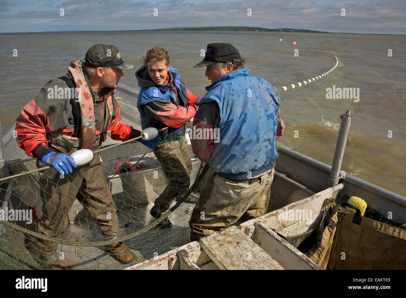 Commercial salmon set net fishing hires stock photography and images