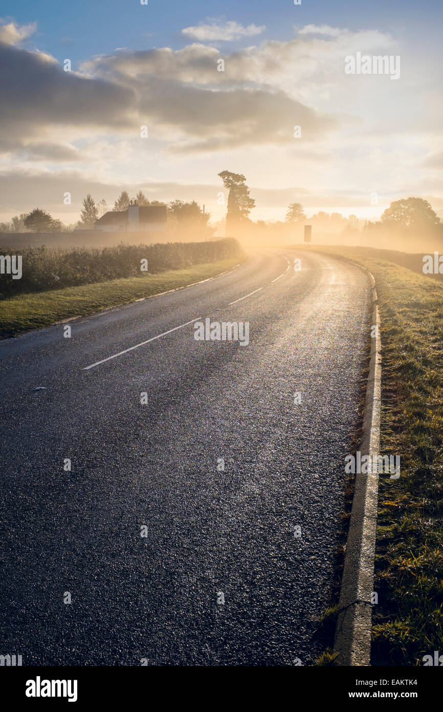 Bright sunlight on a foggy country road. Stock Photo