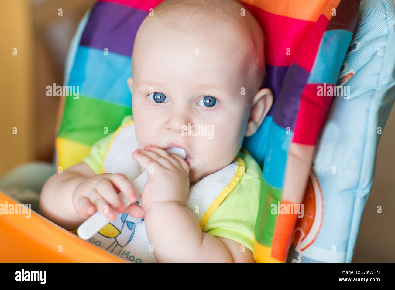 Adorable baby eating in high chair. Baby's first solid food Stock Photo Alamy