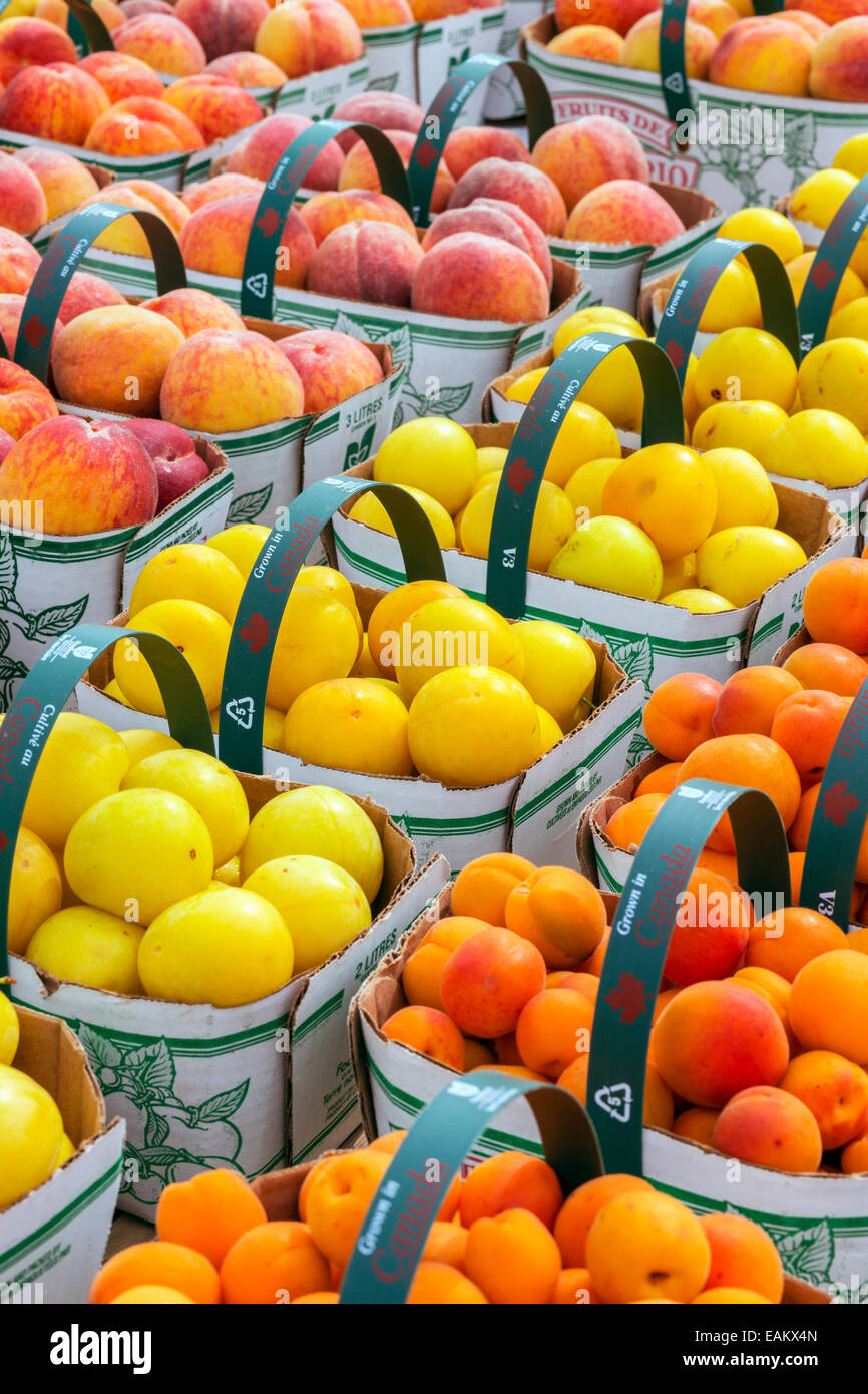 Canada,Ontario,Niagara-on-the-Lake, fresh fruit and vegetables on display at a road side stand Stock Photo