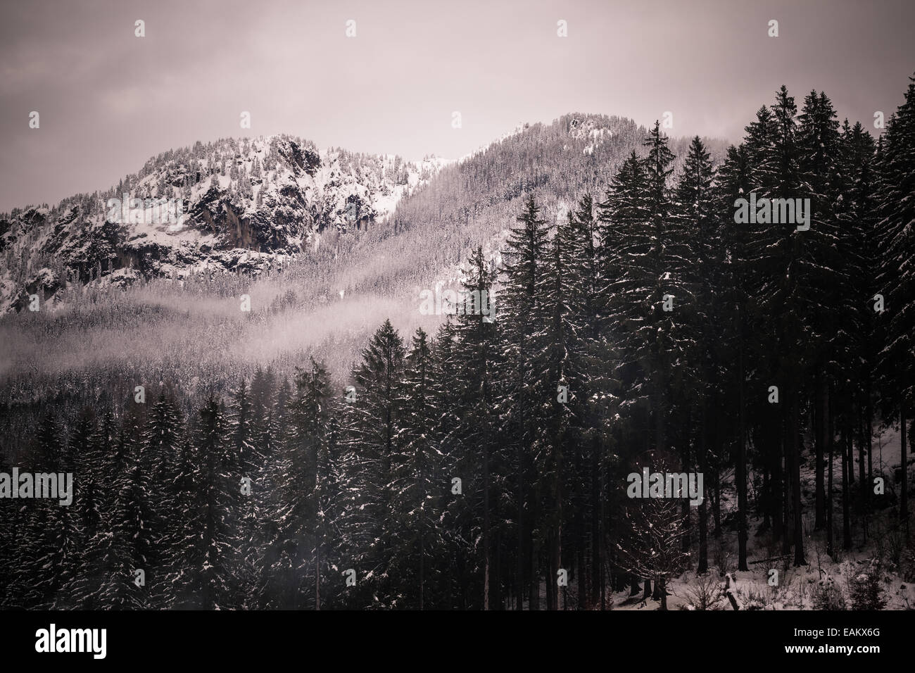 landscape shot of the austrian alps covered with snow Stock Photo