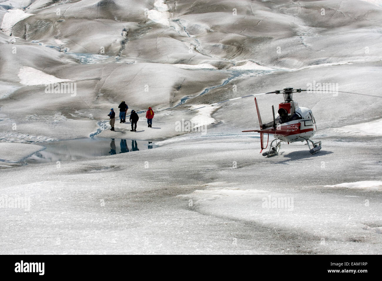 Tourist Explore Juneau Icefield On A Helicopter Tour, Tongass National Forest Near Juneau, Alaska During Summer Stock Photo