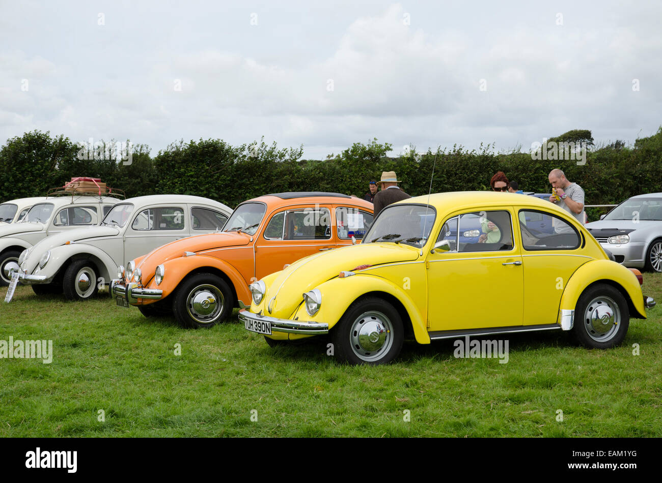 Volkswagen beetles hi-res stock photography and images - Alamy